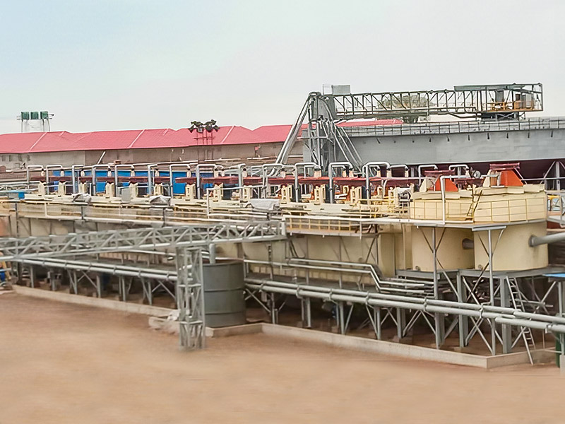 Zimbabwe Lepidolite 3000T/D Project Mineral Processing - Zhejiang Dingsen Holding Co. ، Ltd.